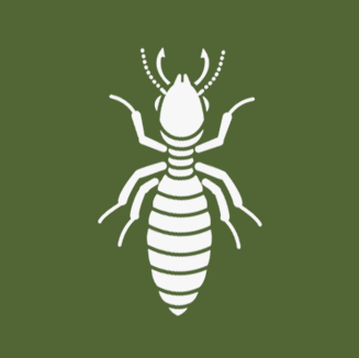 Termita